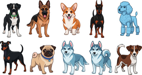 Cute dog breeds cartoon vector collection featuring german shepherd corgi doberman pug husky poodle terrier pet characters © Honey!