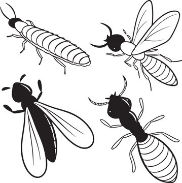 A detailed black and white illustration of various termite forms, showcasing the diverse stages of these insects in intricate detail.