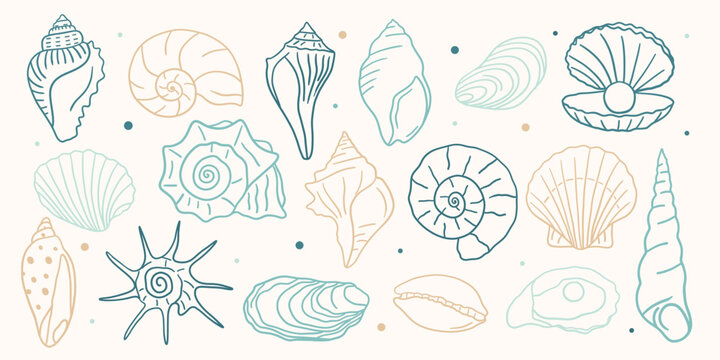 Hand drawn seashell collection. Coastal ocean shell doodle set with conch, scallop, nautilus, oyster, clam and spiral shells. Minimal line art beach elements for summer design.