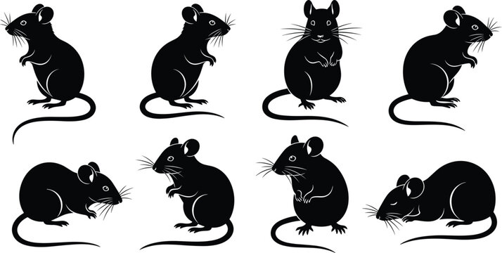Mouse silhouettes collection vector illustration, black and white rats in different poses isolated on white rodent wildlife set