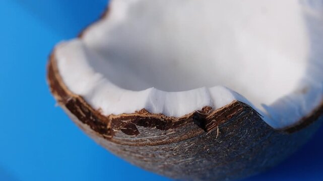 Coconut Slice Close Up. Close up of coconut slice on intense blue background with soft light gradients. Minimal tropical food concept for modern commercial visuals.