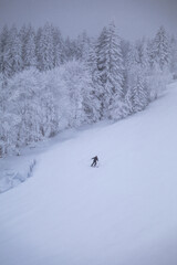 skiing in the mountains