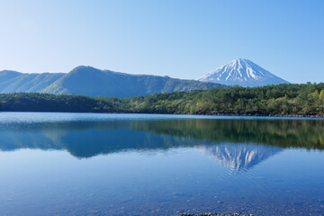 Lake Saiko and Mount Fuji