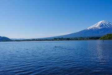 Oishi Park in Lake Kawaguchi