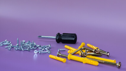 Fototapeta premium Screwdriver and screws for DIY or the trade