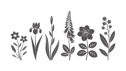 Six different dark grey botanical silhouettes white flower © Mohammad