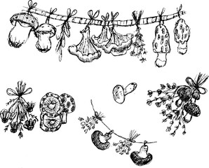 Hand-drawn sketch of hanging dried herbs and mushrooms in rustic black and white illustration style for organic and herbal decor themes  © ELIZAVETA