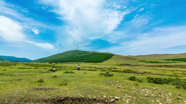 Bashang Plateau Grassland Landscape with Green Hills and Blue Sky