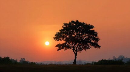 Obraz premium Majestic tree silhouette basking in the warm vibrant glow of a sunset over a tranquil landscape