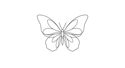 Butterfly outline drawing insect wings. © Fauzi
