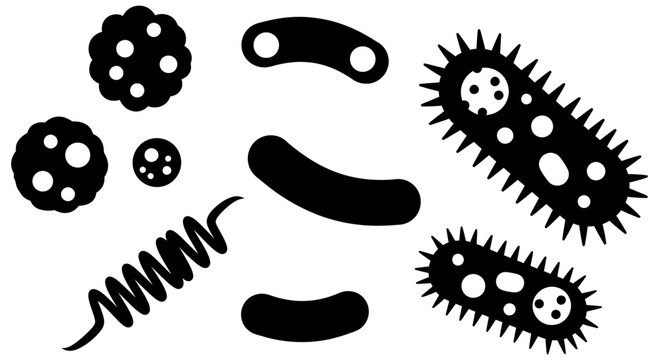 Various types of bacteria silhouettes illustrating different shapes and structures in a simple graphic design on a white background for educational purposes