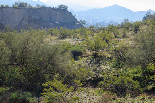Backlit shot of steep slopes of Tapatio cliffs as seen from hiking trails of North Mountain Desert Park, Phoenix, AZ