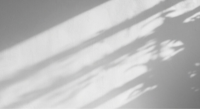 Soft gray background with natural light shadows