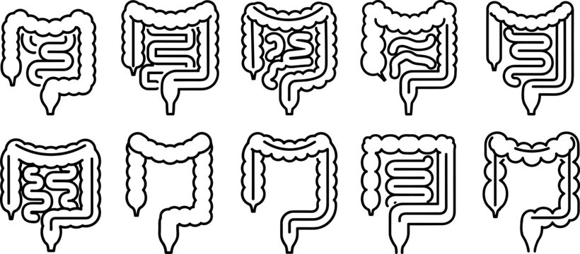 Human intestines outline icon set showing digestive system anatomy, large intestine and colon medical symbols collection for healthcare, biology, and anatomy education design