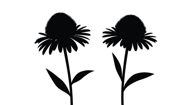 Solid black silhouette of two echinacea flowers with long stems and several leaves on a plain white background.