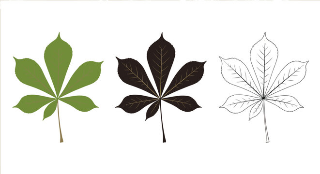 Set of three horse chestnut leaves shown in solid green, solid black, and black line art styles on white background.