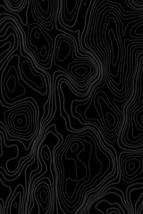 Fototapeta premium Minimalist Topographic Map Contour Lines Vector Illustration Black on Black Abstract Terrain Landscape Pattern Background