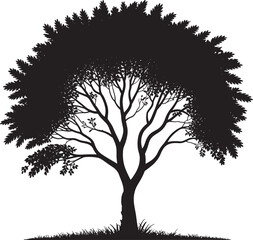 Obraz premium Silhouette of a tree with leaves