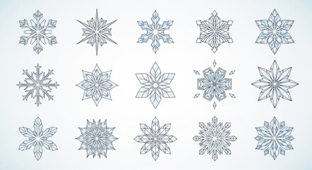Collection of Various Snowflakes with Unique Patterns.