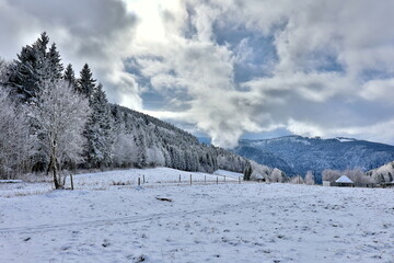 Winterlandschaft auf dem Hinterwaldkopf bei Freiburg im Breisgau