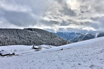 Winterlandschaft auf dem Hinterwaldkopf bei Freiburg im Breisgau