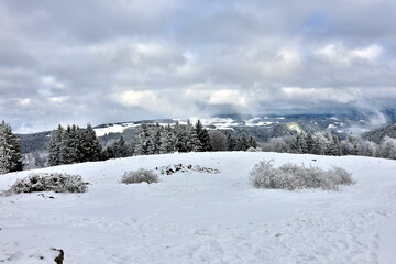 Winterlandschaft auf dem Hinterwaldkopf bei Freiburg im Breisgau