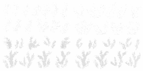 Delicate floral arrangements and sprigs in a grayscale botanical study © Rina