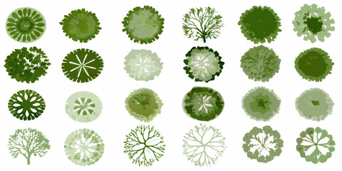 Aerial view of various green trees arranged in a grid pattern © Rina