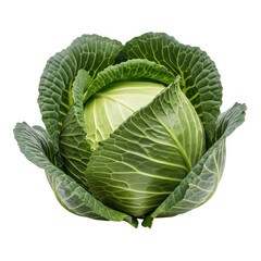 Obraz premium Fresh green cabbage isolated on transparent background