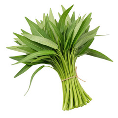 Fresh green asparagus bunch isolated on transparent background