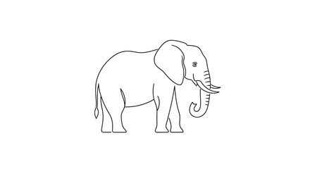 Obraz premium Elephant line art drawing, simple outline animal illustration