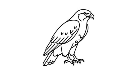 Fototapeta premium Outline drawing of a proud falcon perched on white background
