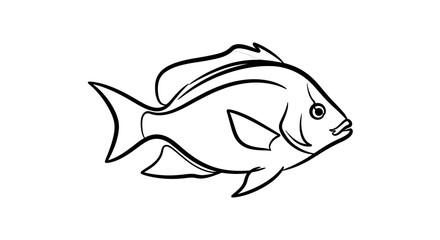 Simple Outline Drawing of a Fish © Anisah