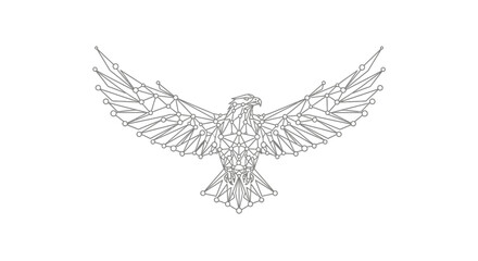 Obraz premium Eagle Illustration with Outstretched Wings and Talons.