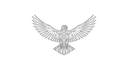 Obraz premium Detailed Illustration of Eagle in Flight.
