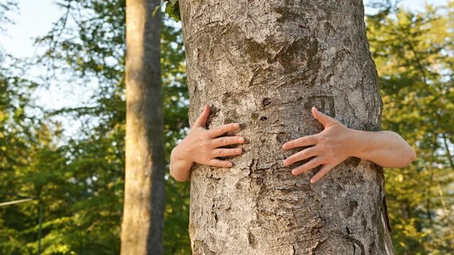 Female environmentalist hugging tree trunk in forest, symbol of nature protection and sustainability. 4K