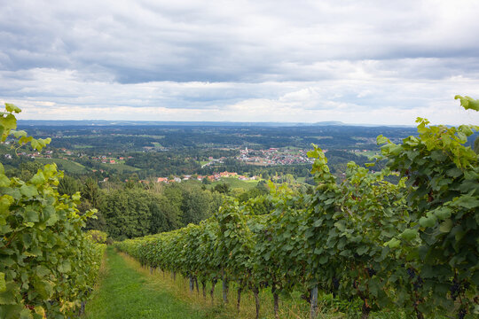 View from the vineyards towards St. Stefan ob Stainz in Styria, Austria.