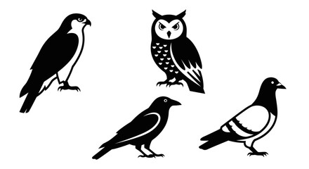 Collection of Bird Silhouettes: Falcon, Owl, Crow, and Pigeon Vector Graphics