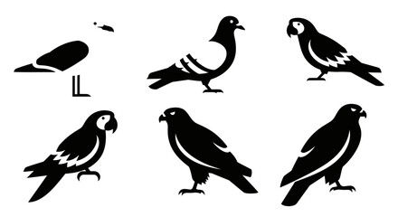 Obraz premium Diverse bird silhouettes collection: seagull, pigeon, parrot, and raptor icons set