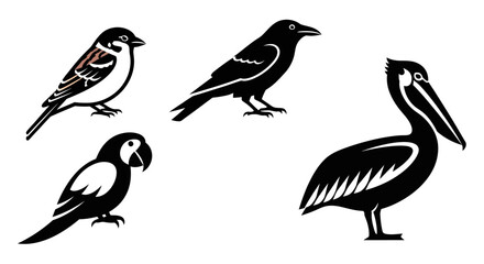 Obraz premium Diverse Bird Species Collection: Sparrow, Crow, Parrot, and Pelican Illustrations