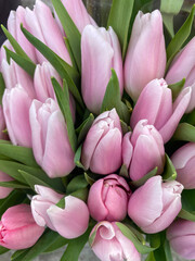 Obraz premium Fresh light pink tulip flowers on the flower shop. Spring floral background. 8 March, Mother s day, Valentine concept. Bouquet spring flowers.