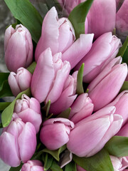 Fresh  light pink tulip flowers on the flower shop. Spring floral background. 8 March, Mother s day, Valentine concept. Bouquet spring flowers.
