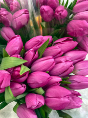 Obraz premium Fresh purple pink tulip flowers on the flower shop. Spring floral background. 8 March, Mother s day, Valentine concept. Bouquet of spring flowers.