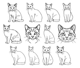 Fototapeta premium Delicate hand-drawn cat line art illustration showcasing elegant feline silhouette with whiskers and tail, perfect for creative projects