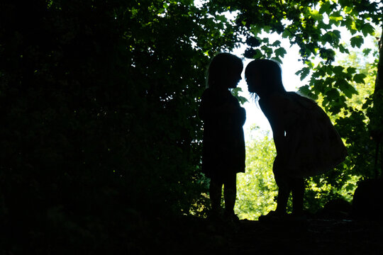 Two young girls silhouetted amongst the trees in a wood on a summer's day