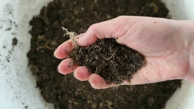 Real Life Authentic Video of Gardener Holding and Showing Rich Airy Organic Potting Soil in Hands