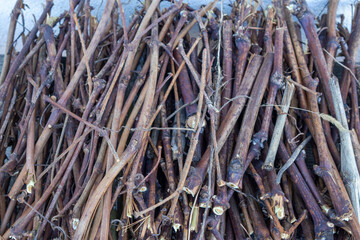 Stack of Cut Wooden Branches - Natural Firewood Texture Background