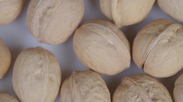 White walnuts with dust pattern. Close imagery of whole walnuts with surface details. Highquality footage capturing compact walnuts with textured shells and surface dust