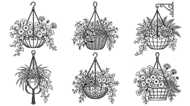hanging basket , realistic line art vector set , white background , PNG and SVG isolate