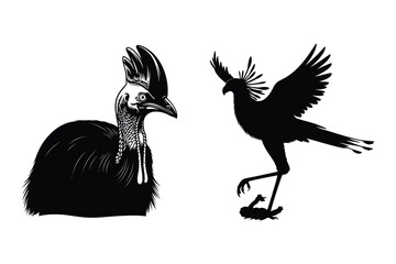 Fototapeta premium Cassowary Bird and Secretarybird Silhouette Vector